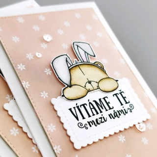 PŘÁNÍ K NAROZENÍ HOLČIČKY - s medvídkem