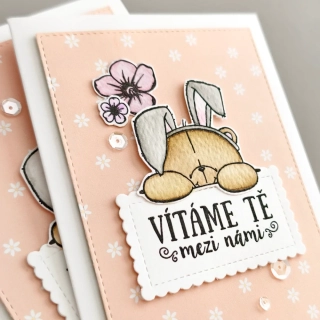 PŘÁNÍ K NAROZENÍ HOLČIČKY - medvídek s kytičkami